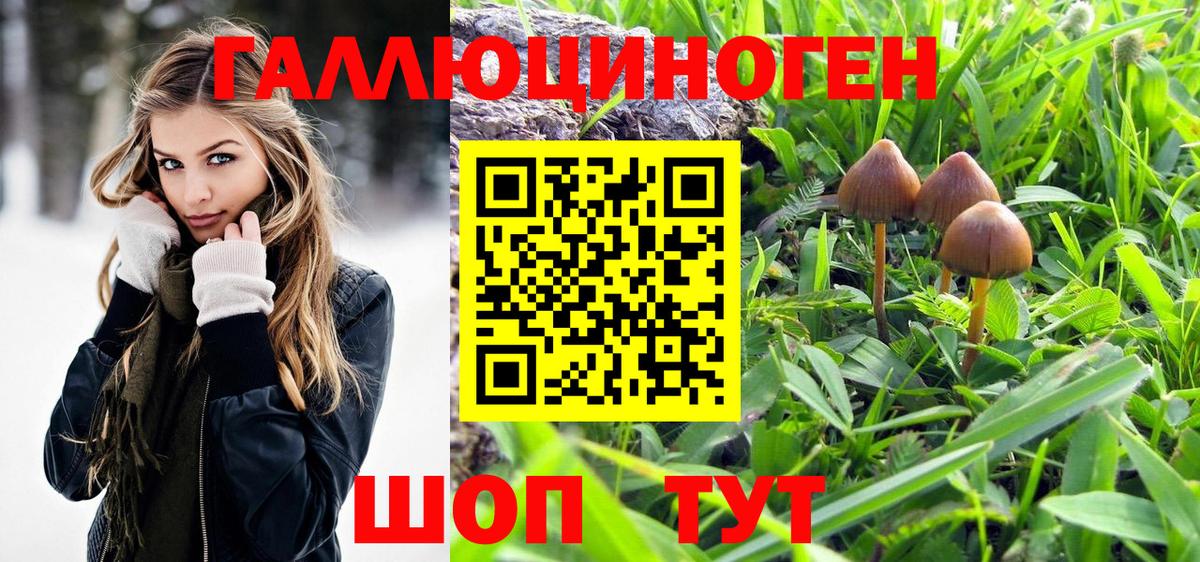 Галлюциногенные грибы Cubensis  Вход с VPN  Асбест 