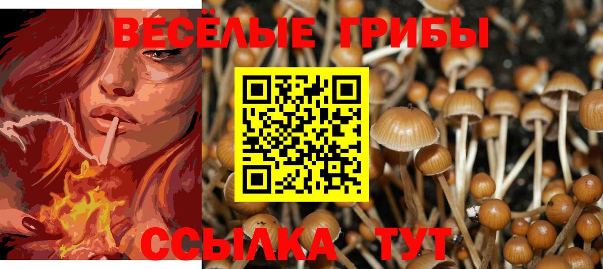 Псилоцибиновые грибы прущие грибы Асбест
