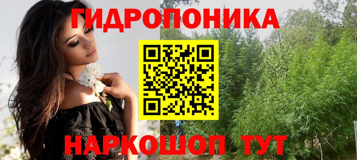Марихуана планчик  МАРИХУАНА Bruce Banner  Конопля AK-47  Вход с VPN  Асбест  Бошки Шишки Ganja 